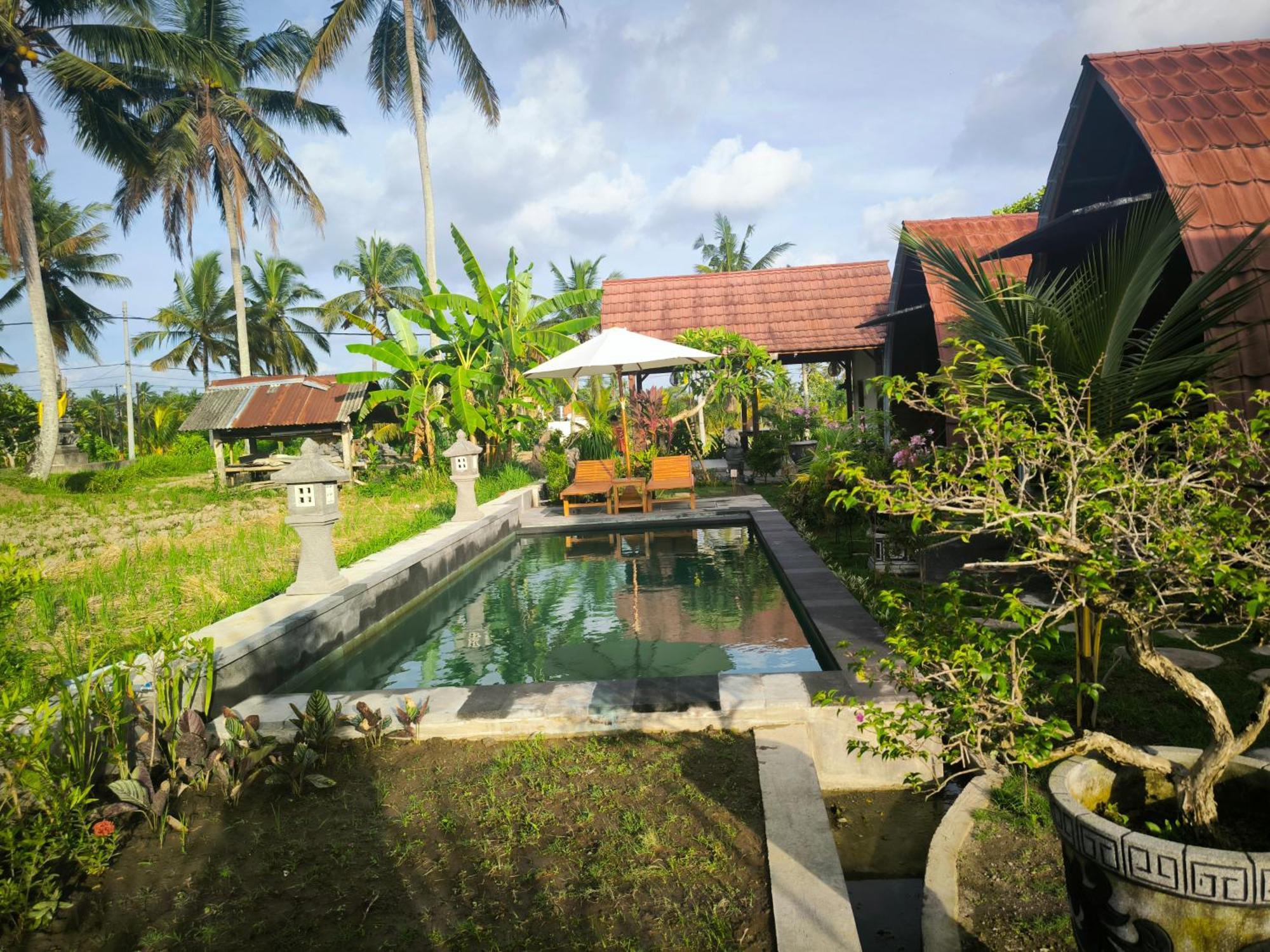 Eling Ubud Guesthouse Exterior photo